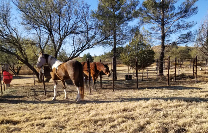 Sonoita AZ RV Campground