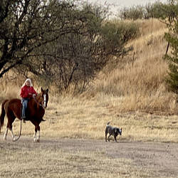 Sleeping Dog Ranch