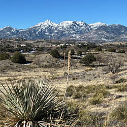 Sleeping Dog Ranch