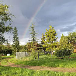 Sleeping Dog Ranch